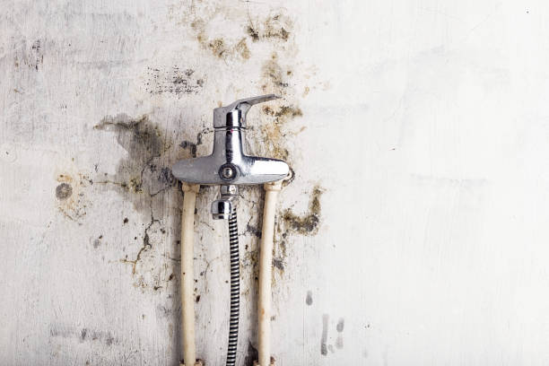 Best Preventive Mold Services in Keys, OK