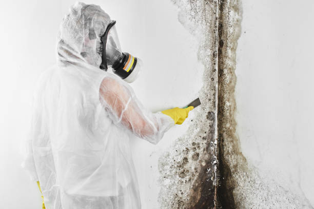 Trusted Keys, OK Mold Remediation Experts