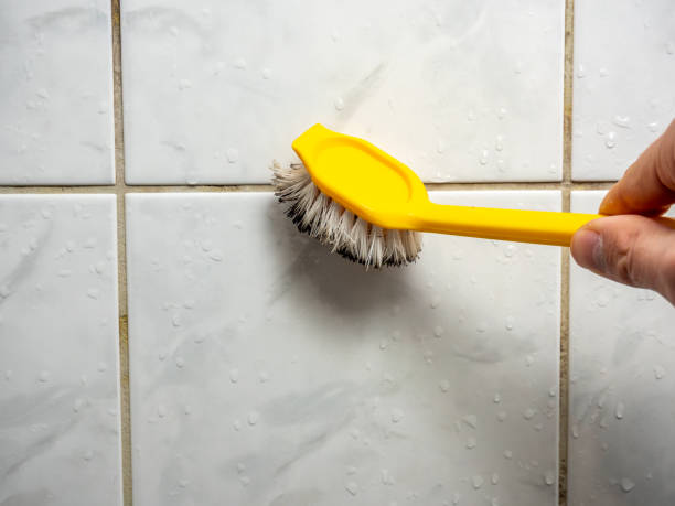 Best Post-Flood Mold Remediation in Keys, OK
