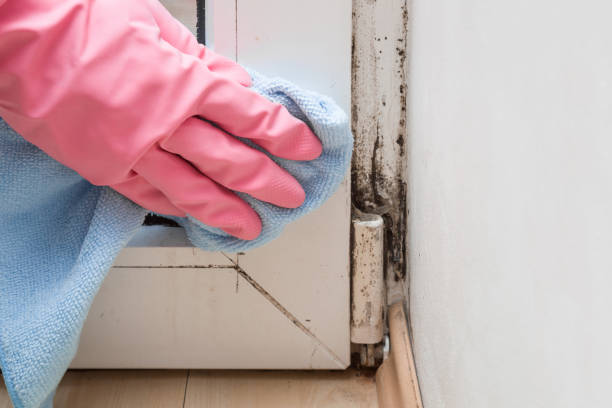 Best Emergency Mold Remediation in Keys, OK